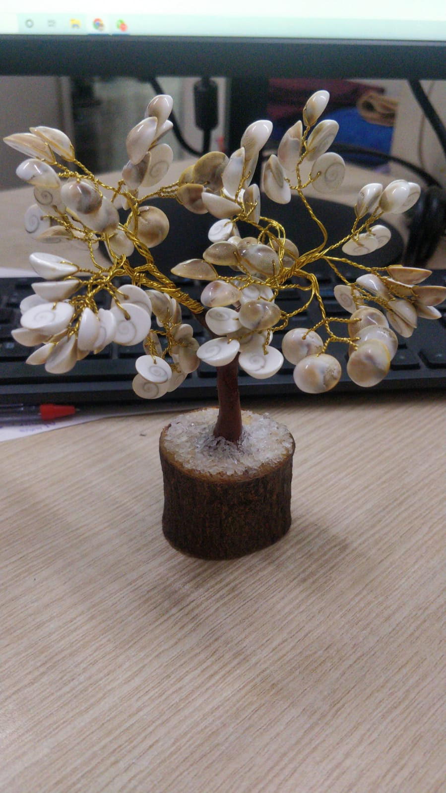 Thumbnail: Gomti chakra Tree