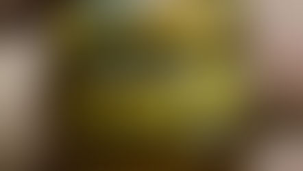 Discover the Amazing Healing Properties of Tiger's Eye