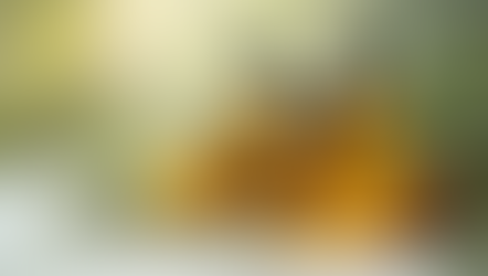 The Science Behind Aromatherapy and Its Uses