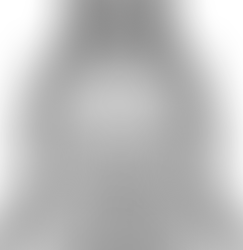 Mahavtar Babaji , the Himalayan Mystic and Immortal light body kriya Master.