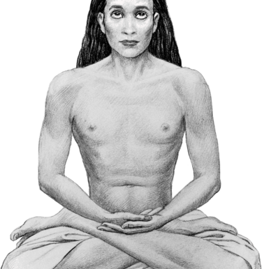 Mahavtar Babaji , the Himalayan Mystic and Immortal light body kriya Master.