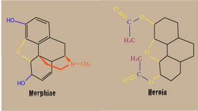 The science of heroin addiction