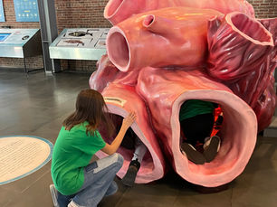 5th Grade Adventures: Exploring History at the New Bedford Whaling Museum!