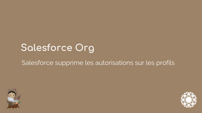 Salesforce supprime les autorisations sur les profils