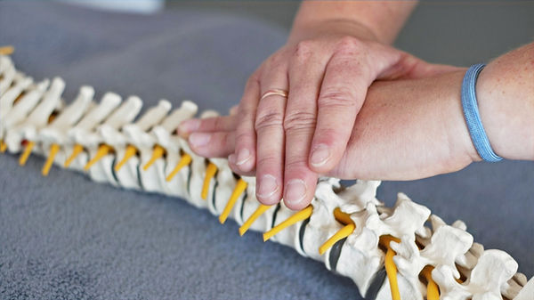 Osteopathie-Behandlung in Kiel-Wik: Ganzheitliche Therapie zur Linderung von Rücken-, Nacken- und Gelenkbeschwerden.