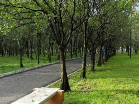 Árboles Urbanos y Espacios Verdes ¿Por qué y para qué?