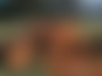 Madera plástica fabricada con desechos naturales