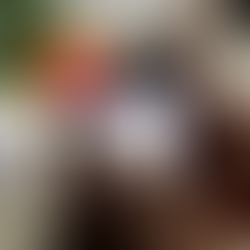 ¡¡ Ya podrás medir la salud de tus plantas a través de su cantidad de clorofila!!!