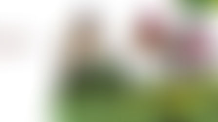 ¿El enemigo en casa?