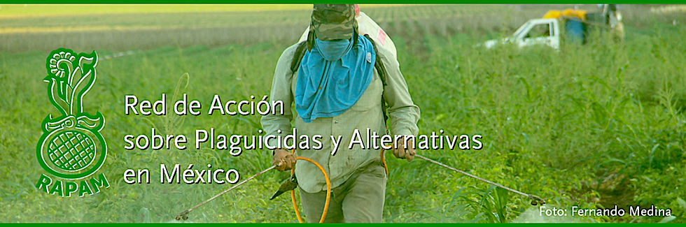 La captura de la FAO por la agroindustria