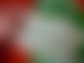 Crean biopiel a partir de Agave azul