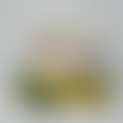 De frutas y verduras a textiles