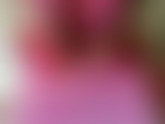 El INAH tiene un plan para sancionar el plagio de diseños indígenas