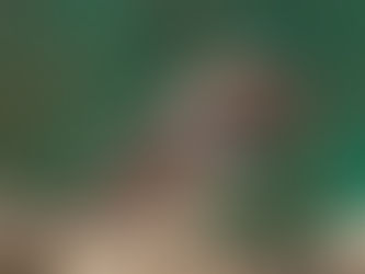 Las aves también se preparan contra el cambio climático