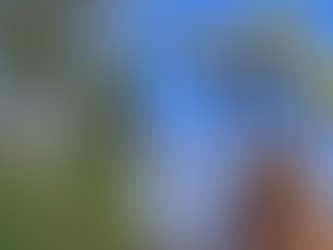 Árboles de rápido crecimiento