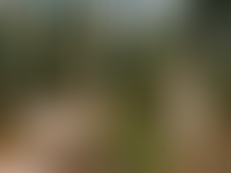 Sistema agrícola coreano