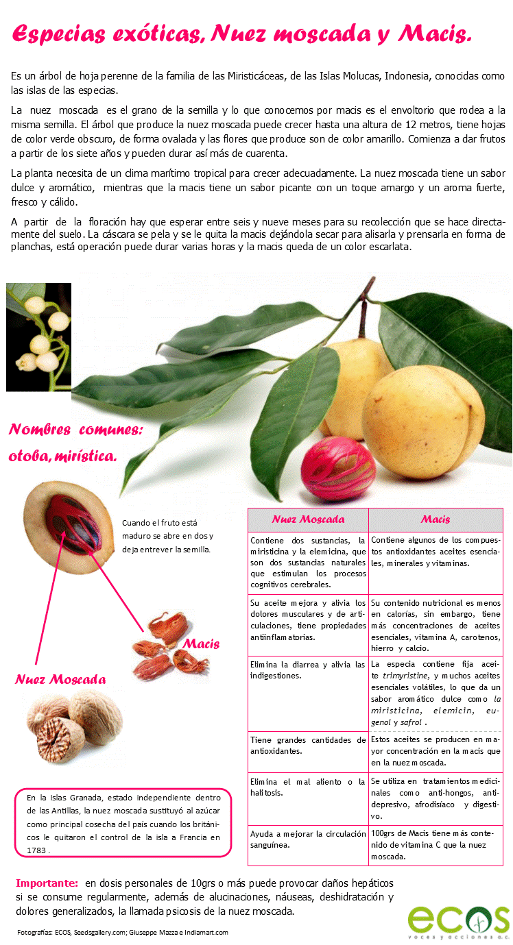 Nuez Moscada.gif