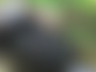 Simple y eficiente la recolección de basura en Australia.