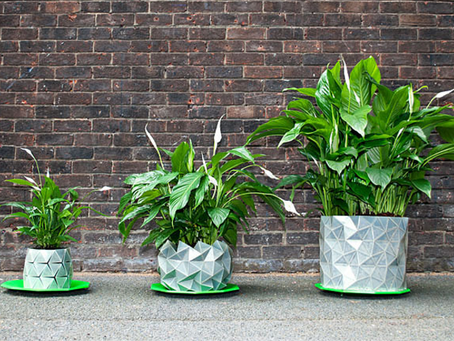 ¡Macetas que crecen!