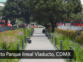 Los humedales, inspiración para el cambio