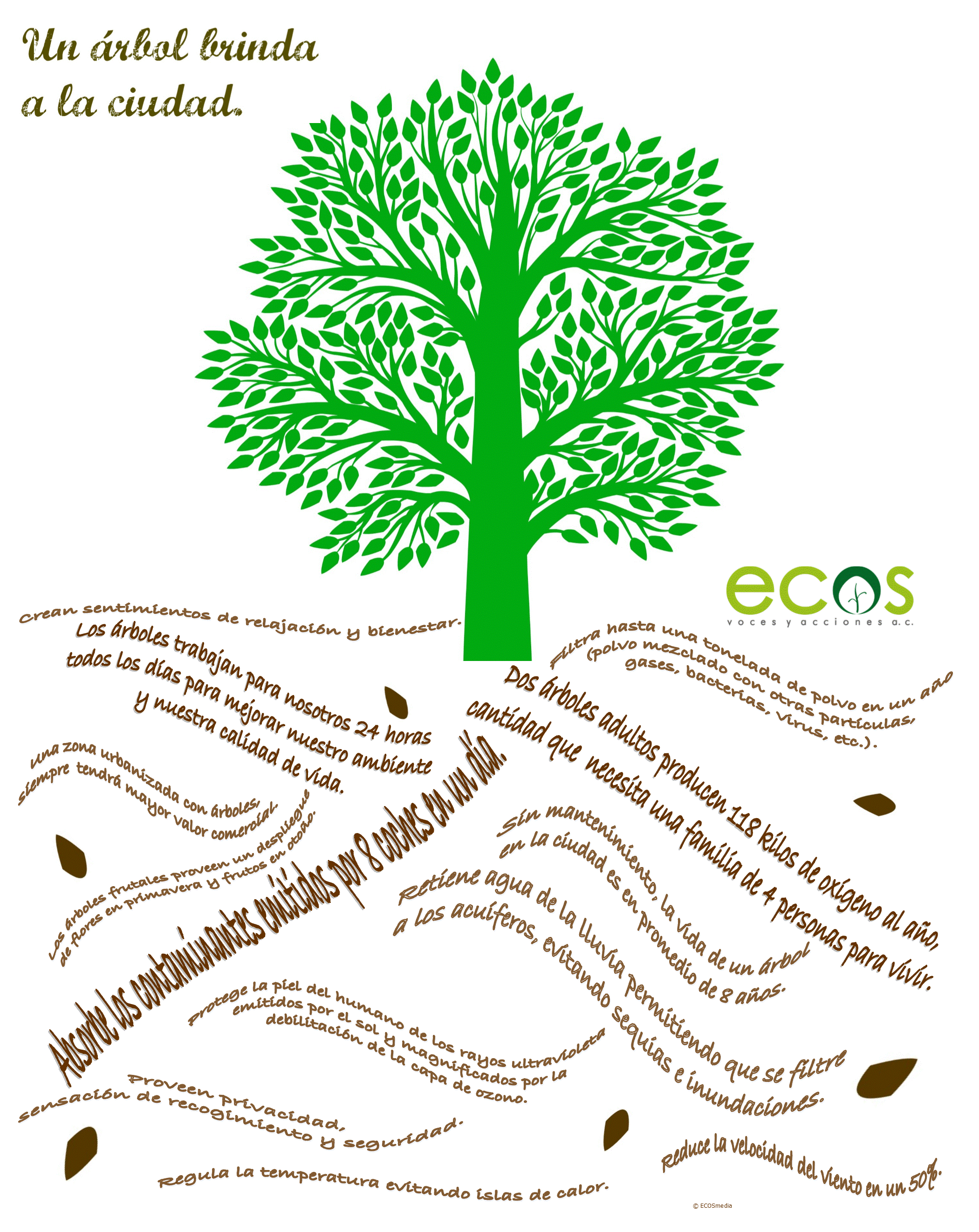 Un arbol brinda a la ciudad.gif