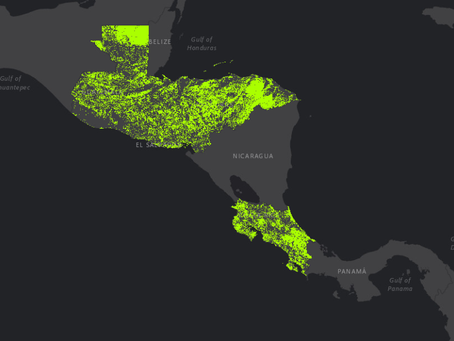 Crean mapa estratégico de bosques secundarios en Centroamérica