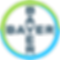 corp-logo_bg_bayer-cross_basic_150dpi_on-screen_rgb 4.png