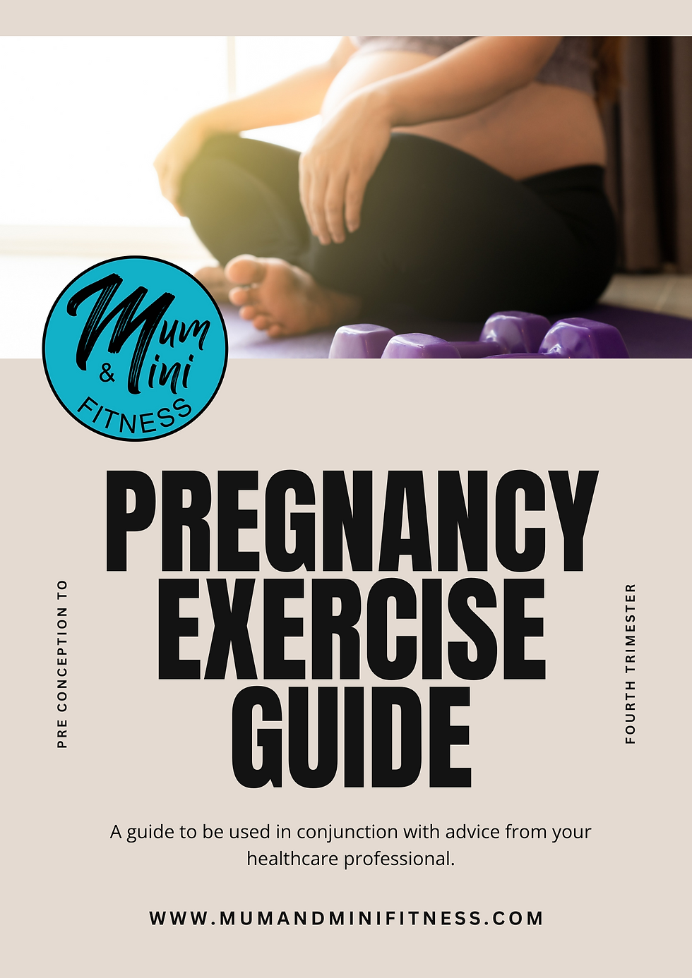 Pregnancy Exercise guide (1).pdf.png