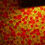 Thumbnail: Feuilles mortes - vert/rouge