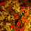 Miniature : Char fleuri - noir