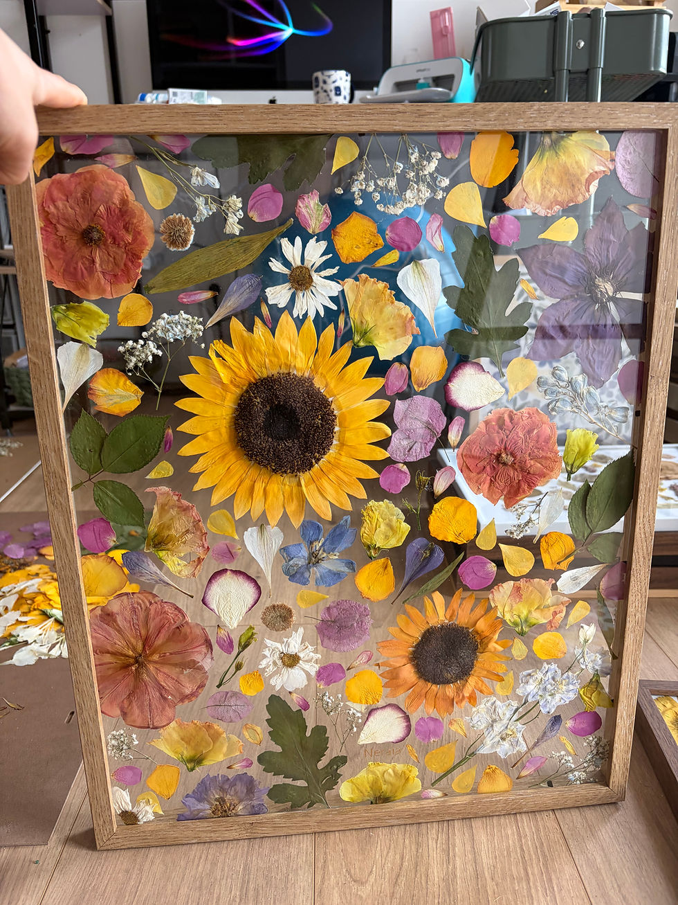 Miniature : 40x50cm - Herbier Lucie