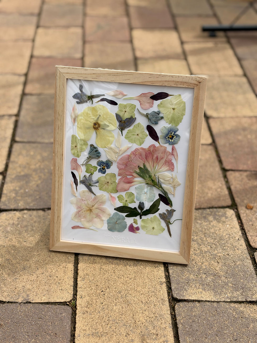 Miniature : 18x24cm - Herbier Andréa