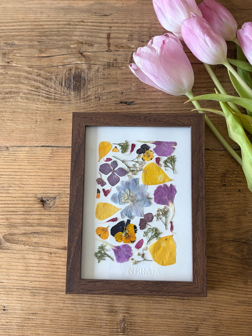 Miniature : 13x18cm - Herbier Nadège