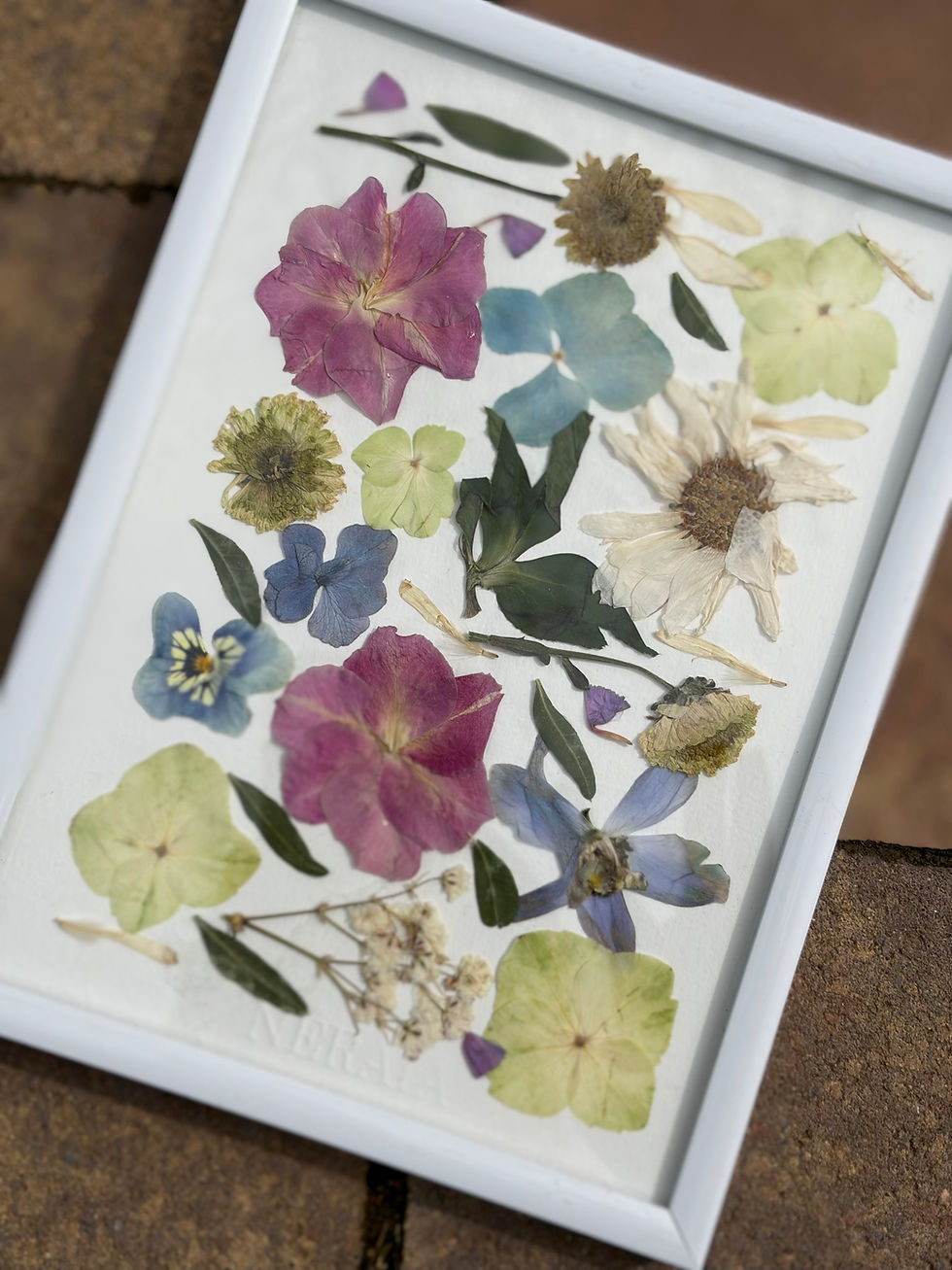 Miniature : 13x18cm - Herbier Armelle