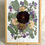 Miniature : 30x40 - Herbier bouquet - H037