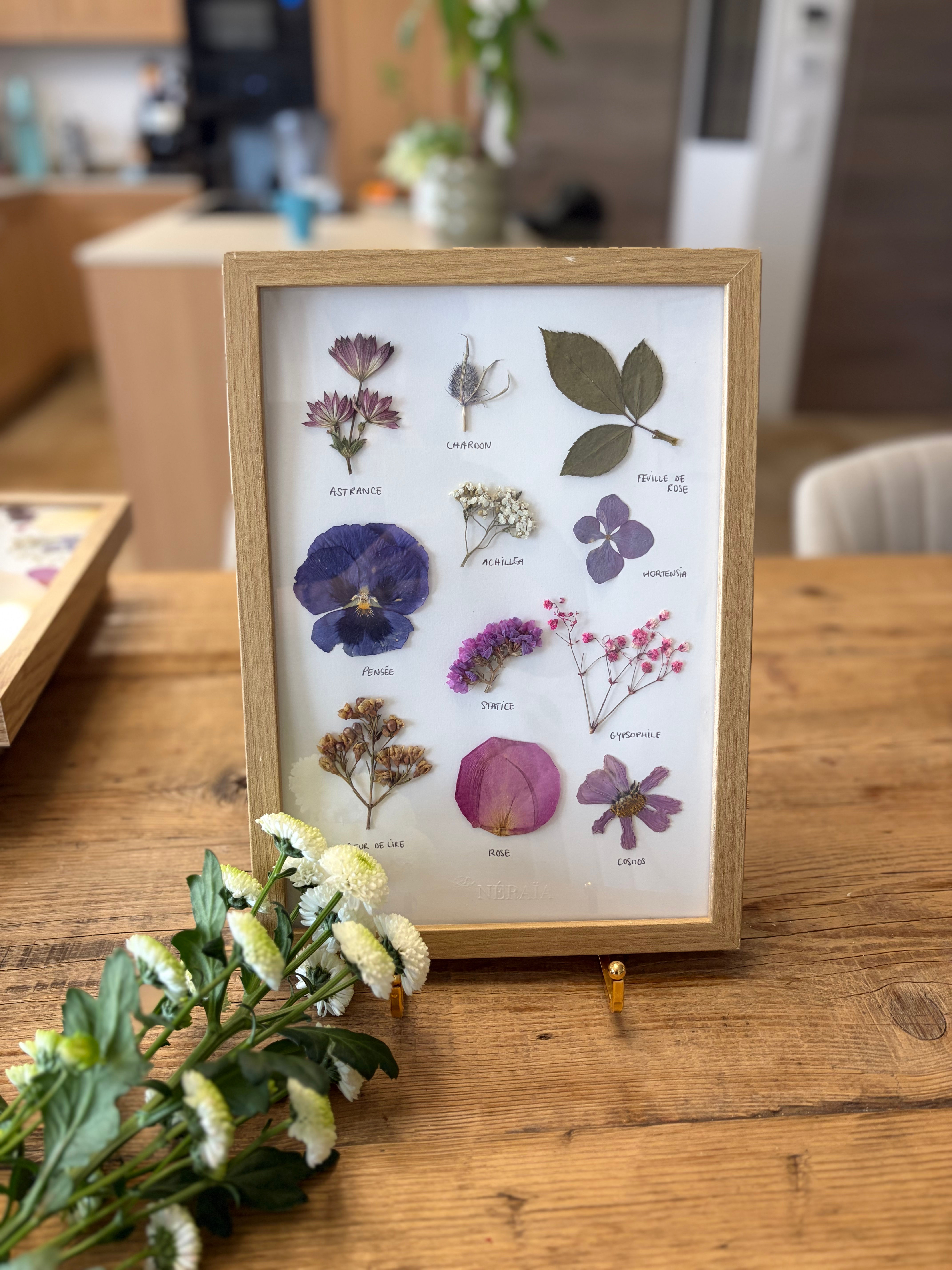 21x29,7cm - Herbier Eloïse