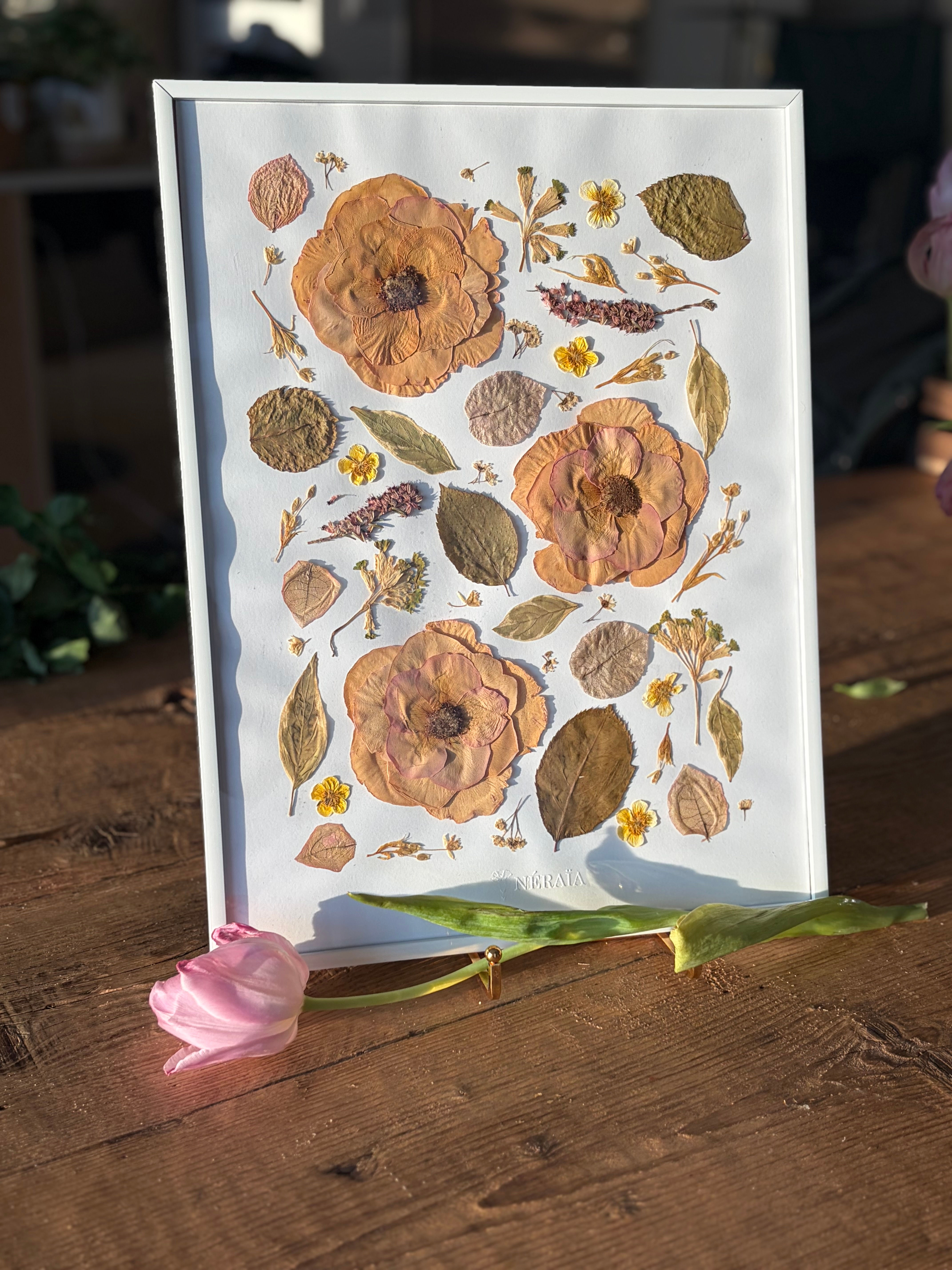 30x40cm - Herbier Chantal