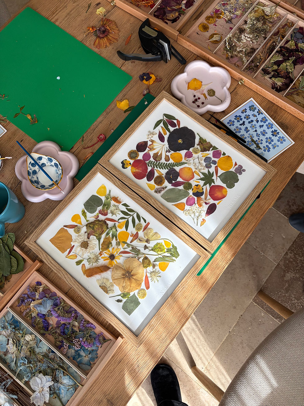 Miniature : Atelier Herbier - Sam 28/3/26 10h à 12h