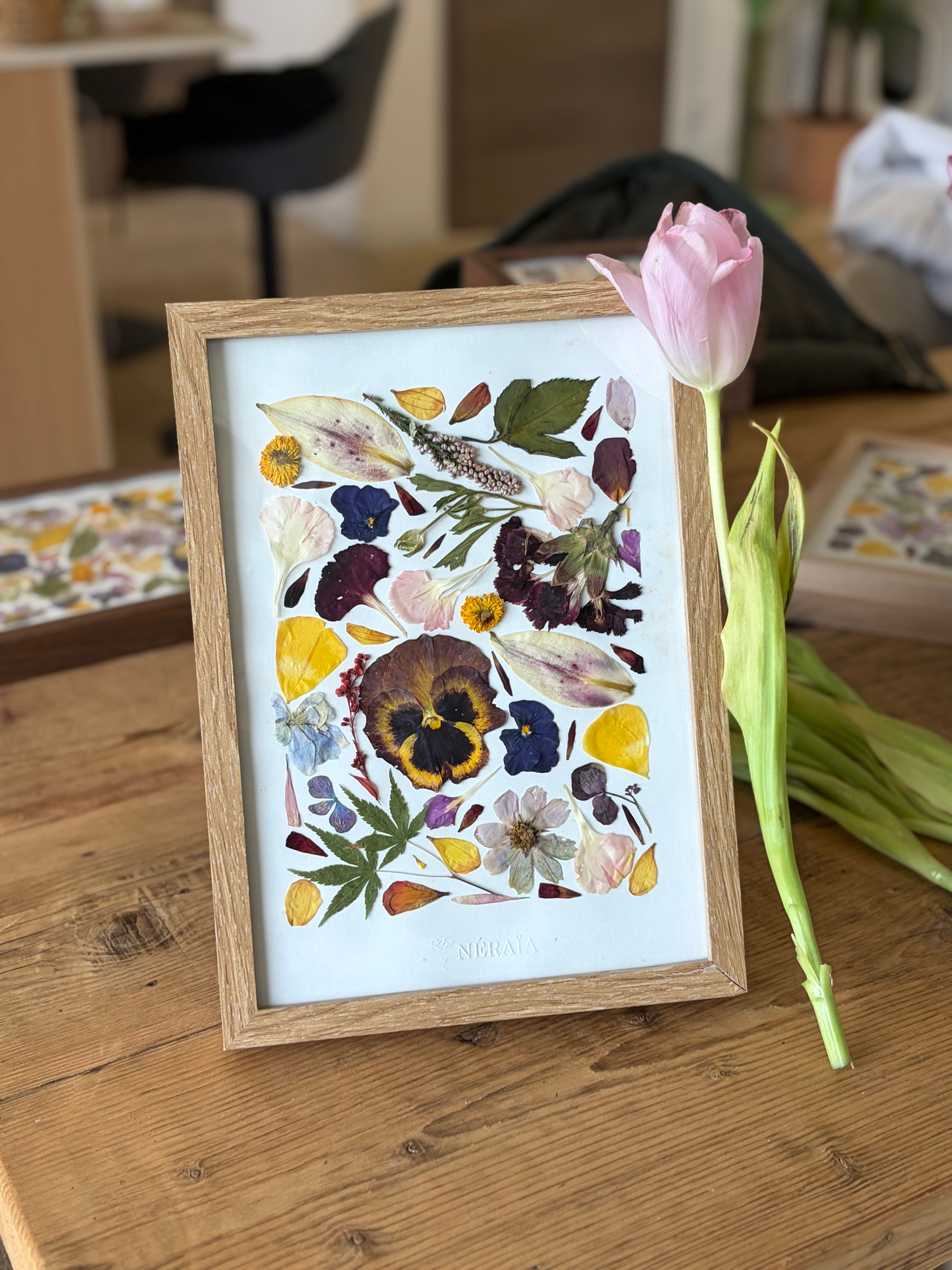 21x29,7cm - Herbier Aurélie