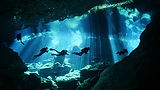 AdobeStock_215687631.jpeg