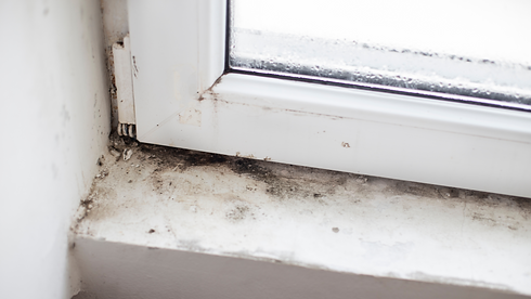 Design ohne Titel.png