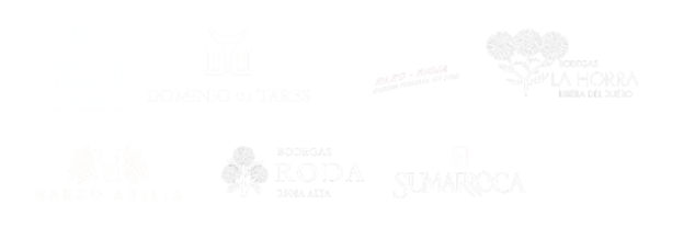 BANNER WEB_BODEGAS-03.png
