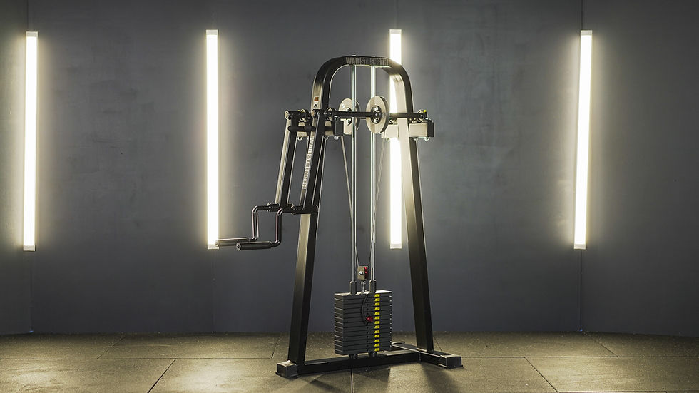 Thumbnail: Freedom Standing Lateral Raise