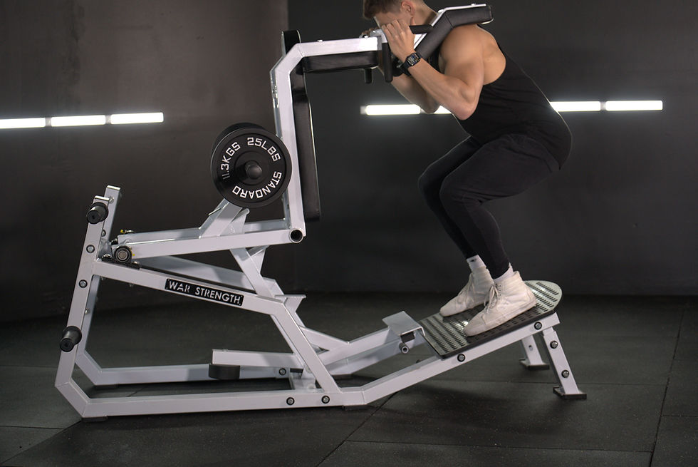 Thumbnail: V Squat