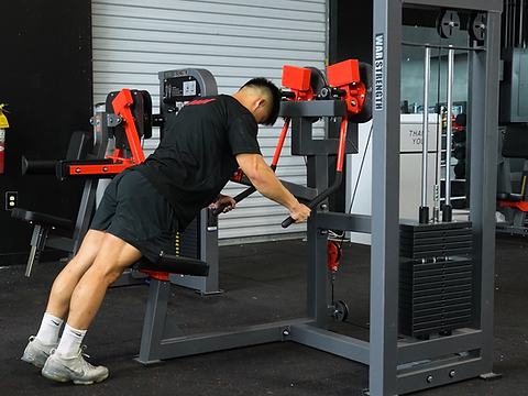 Reverse / Lateral Seated Shoulder Raise | War Strength
