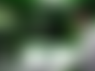 Cybersecurity Solutions for Businesses: Protecting What Grows Behind the Screen 