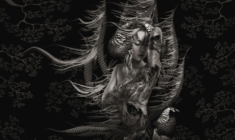 Beauté Aviairie a fine art photography series feathers and fashion by JARRED