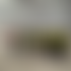 Wilten Drovers Retail Park, Kent – Building Careers Together