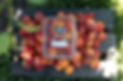 0J1A0839-Edit.jpg