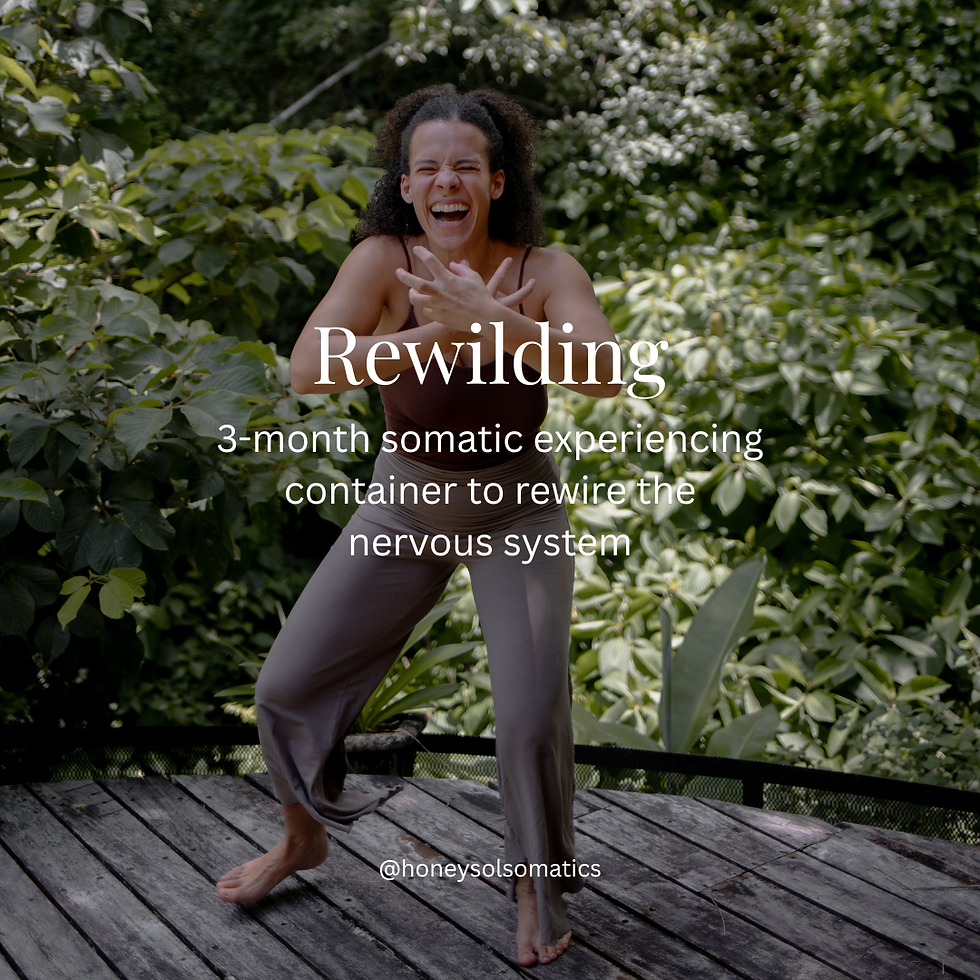 Rewilding: 3-month somatic deep dive to rewire your nervous system and live the life you know you're meant for!